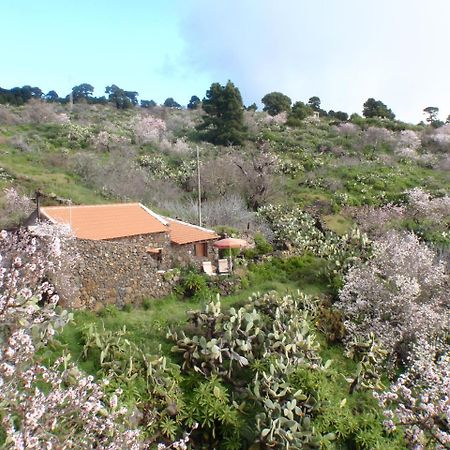 Casa Rural La Jarita El Pinar  ภายนอก รูปภาพ