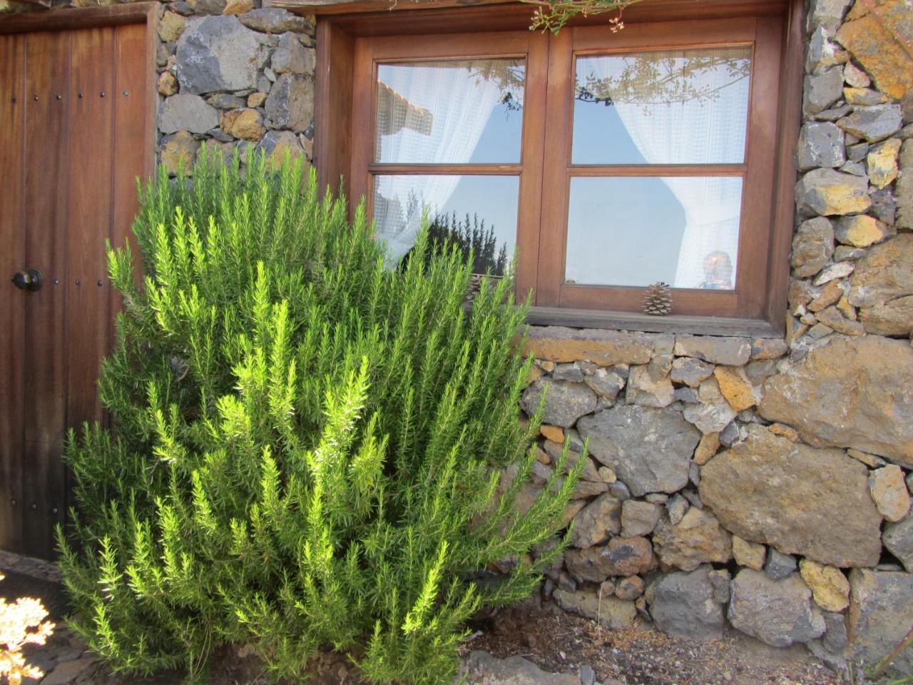 Casa Rural La Jarita El Pinar  ภายนอก รูปภาพ