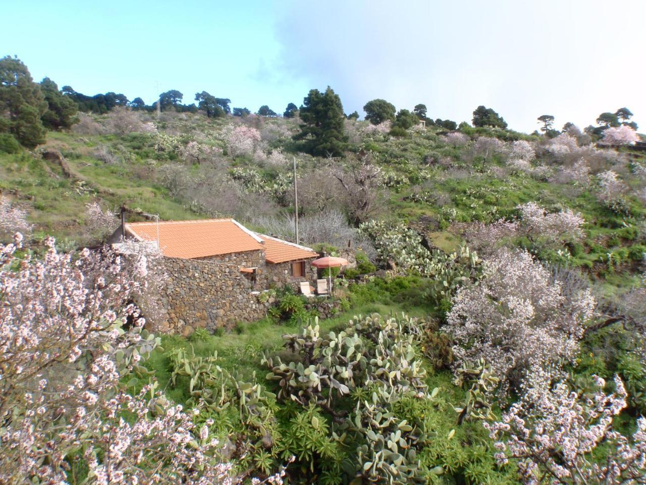 Casa Rural La Jarita El Pinar  ภายนอก รูปภาพ